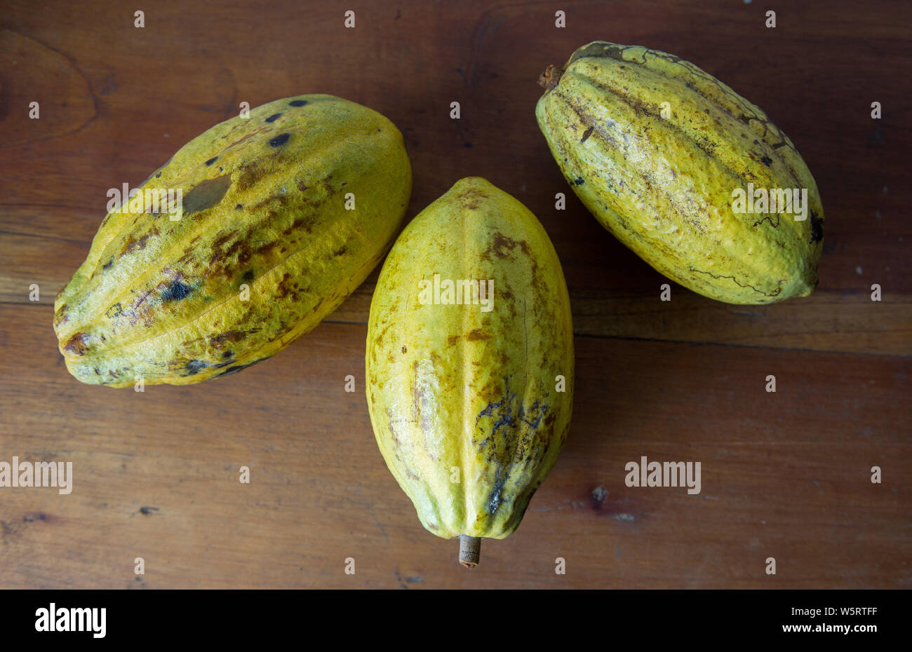 Sao Tome, Diogo Vaz cocoa plantation: cocoa pods, cacao fruits Stock Photo