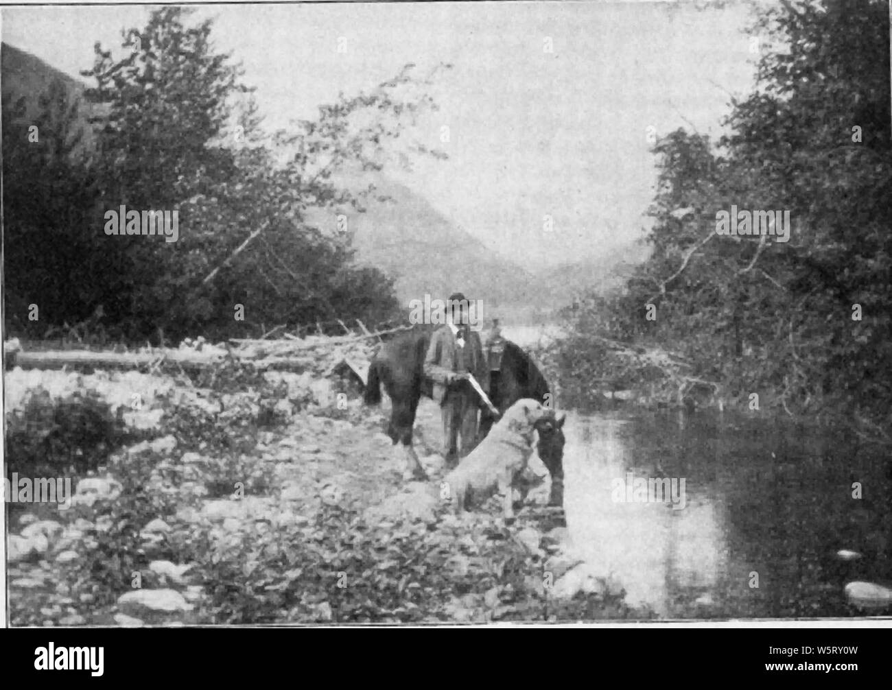 Near Skagway, Alaska. Scene of W.P. and Y. Route Stock Photo - Alamy
