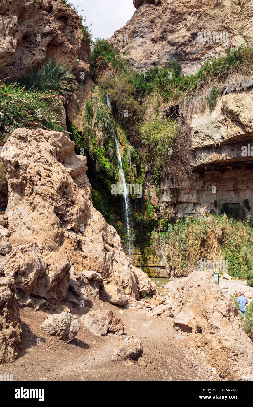 a tourist viewing the david falls on the david stream in the ein gedi park in israel showing the cliffs and tropical vegetation growing in the desert Stock Photo