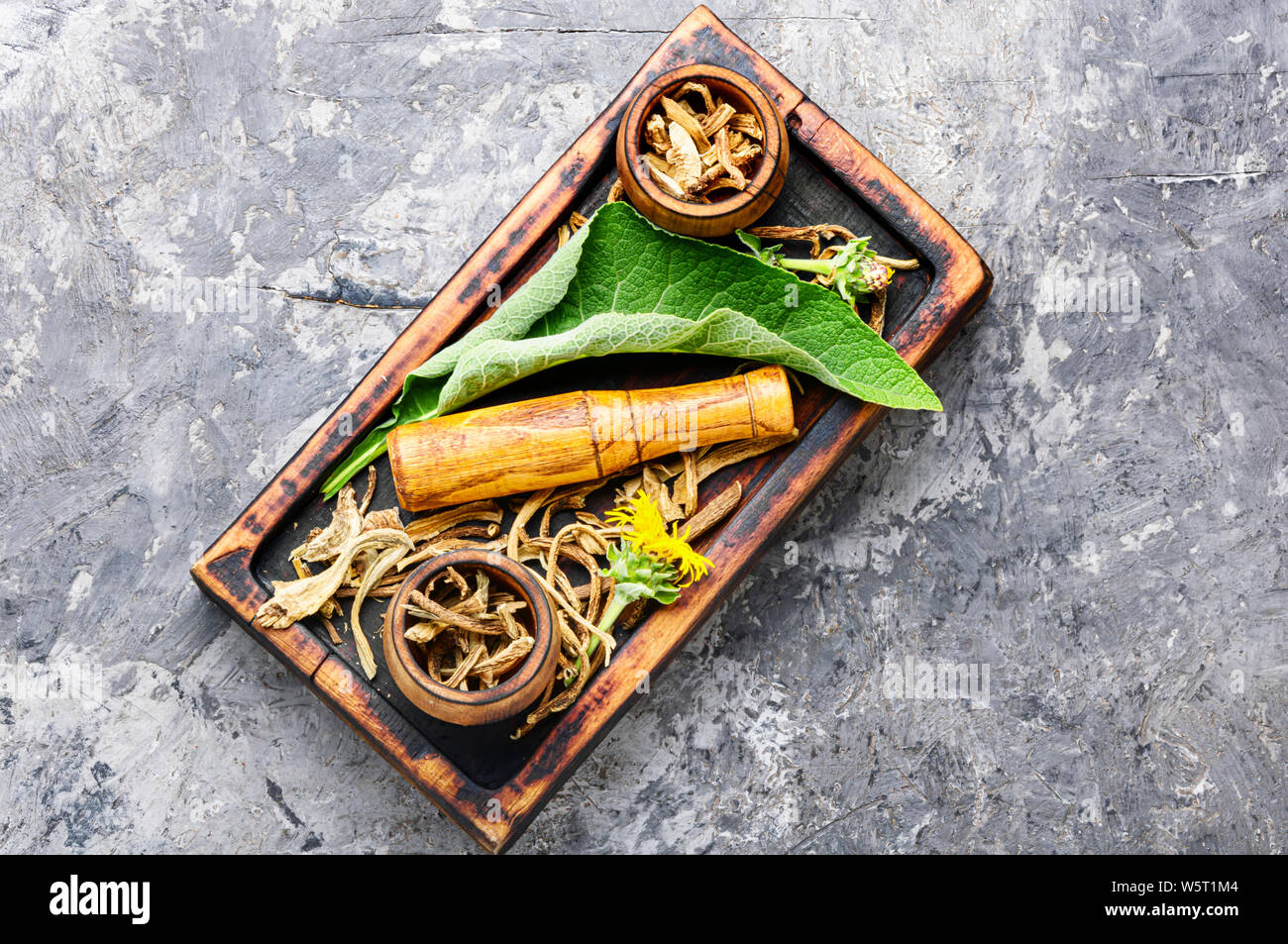Roots and rhizomes of elecampane medicinal plant inula stock photo alamy