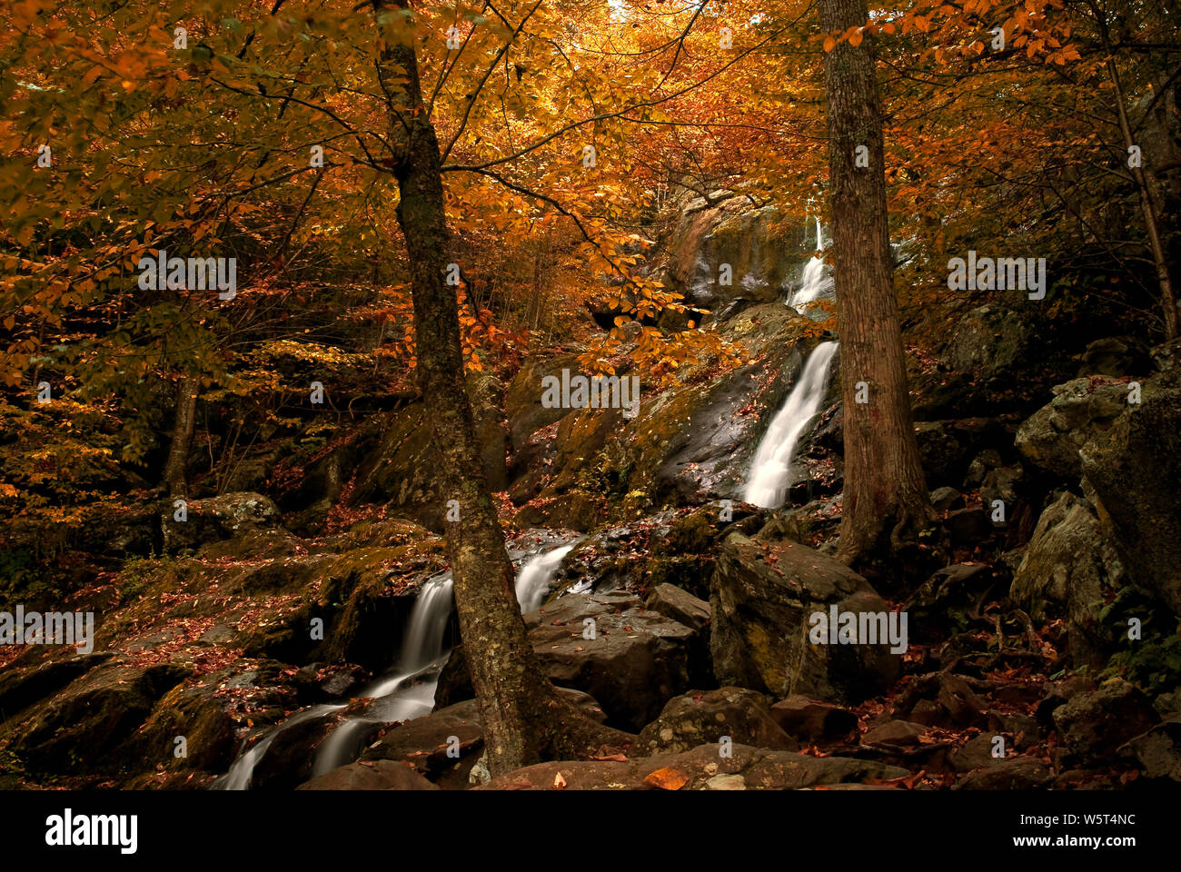 A autumn scene of a waterfall Stock Photo