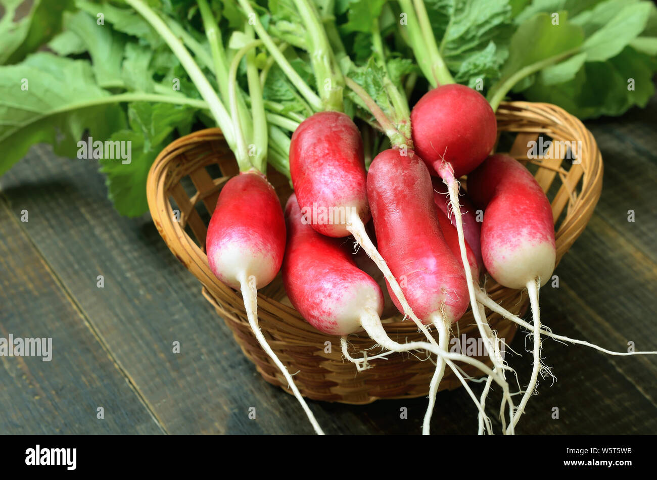 Fresh radish in basket on wooden table Stock Photo