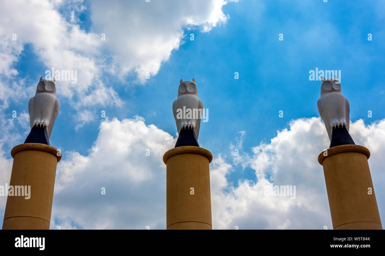 Owl Statues in Parliament Square, Oldham, Greater Manchester UK Stock