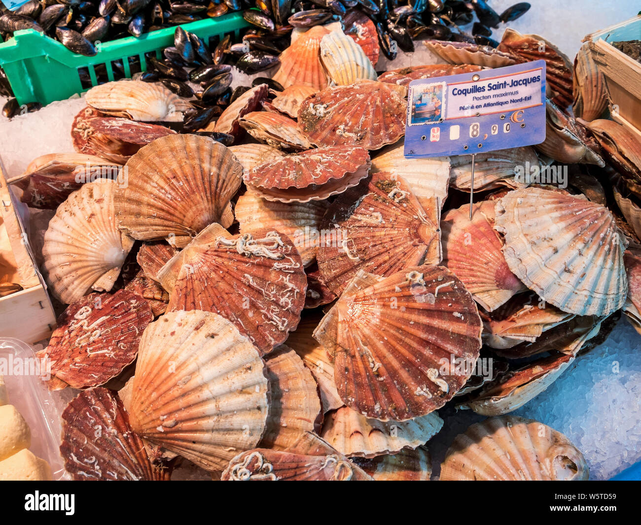 Coquilles Saint Jacques On Market Stall France Stock Photo Alamy Coquilles Saint Jacques On Market Stall France Stock Photo Alamy