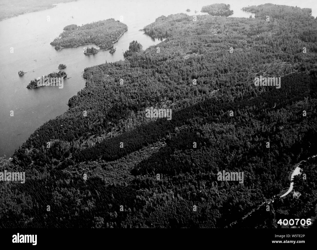 Photograph of Birch Lake Plantation; Scope and content:  Original caption: Birch Lake Plantation. Dark timber is the planted area; note rows of trees. Birch Lake in background. Dunka River Road in foreground. View looking north northeast. (Kawishiwi Ranger District). Stock Photo