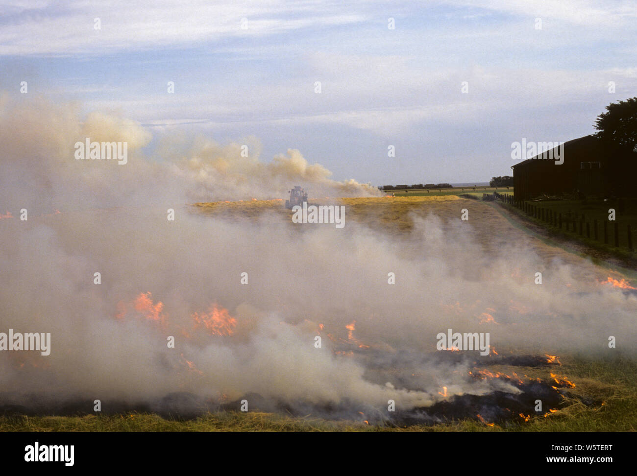 BURN BEATING on field after harvest Stock Photo