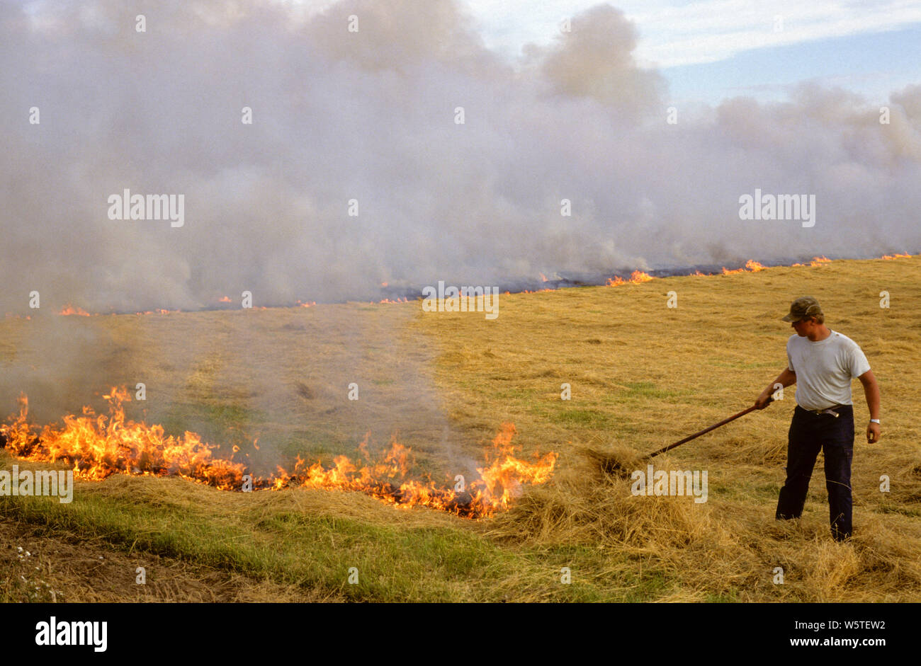 BURN BEATING on field after harvest Stock Photo