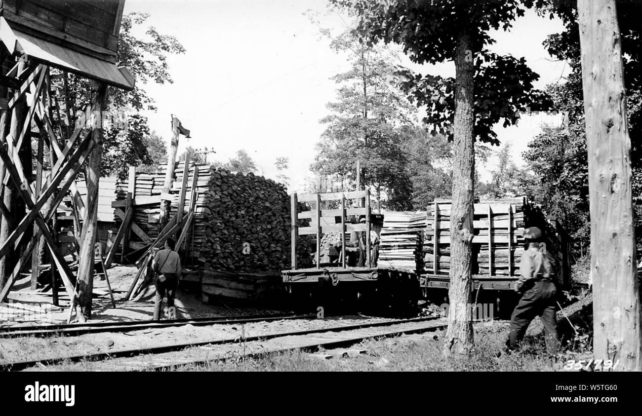 Photograph of Cleveland Ciffs Iron Company Tie Mill from the Rear; Scope and content:  Original caption: Cleveland Ciffs Iron Company tie mill from the rear - shouing loading of a car with tie - slabs for chemical wood used at Cliffs-Dow Chemical Plant at Marquett. Forest Lake, Upper Michigan NF. Stock Photo