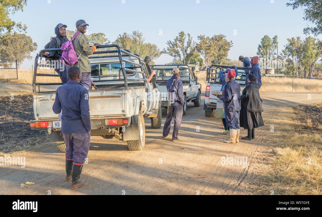 Bergville, South Africa - unidentified black farm workers are dropped off at roadside after a work day image in landscape format Stock Photo