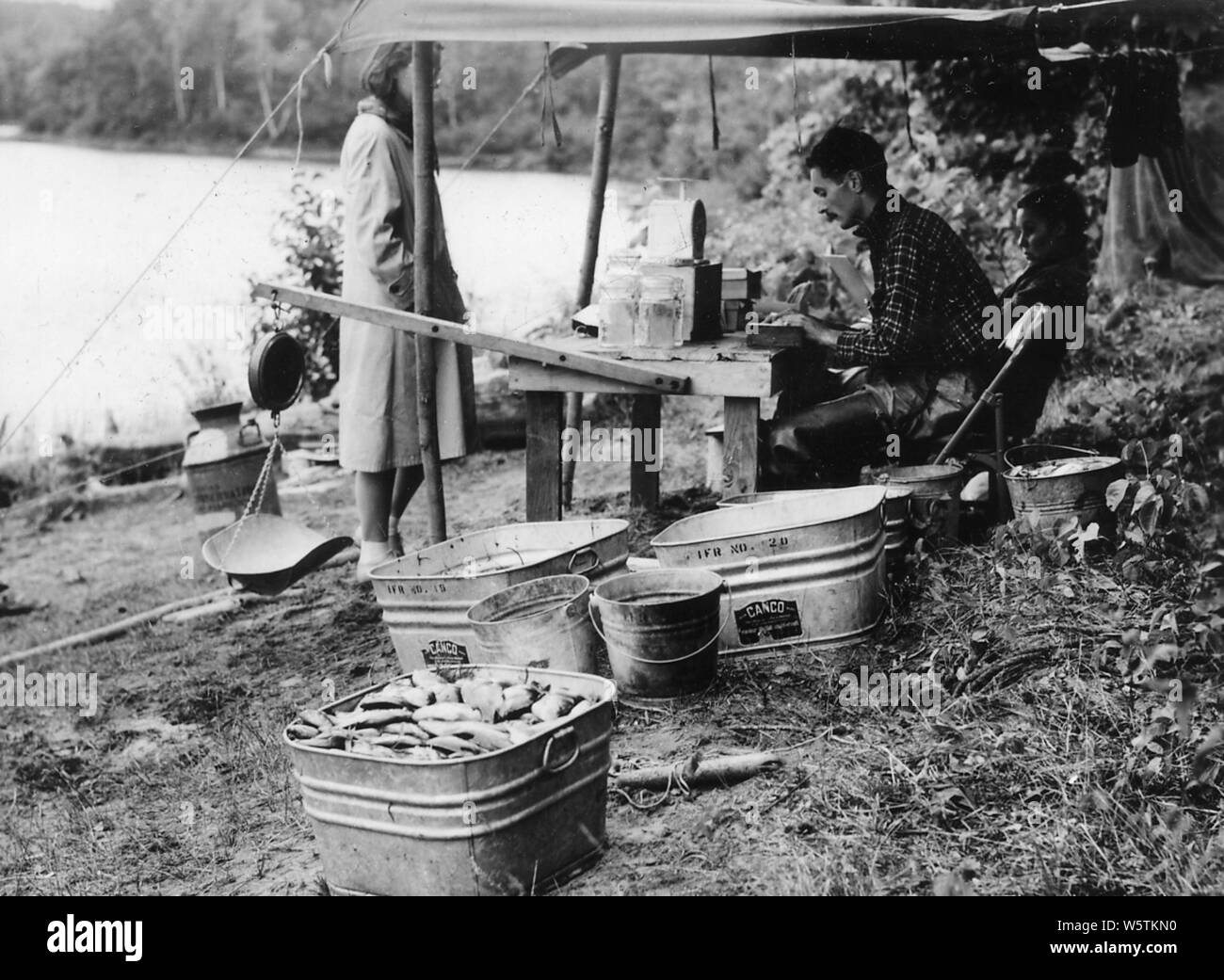 Photograph of Fish Removal Work at Twin Lake; Scope and content:  Original caption: Fish removal work at Twin Lake. Dr. and Mrs. Krumholtz Measuring and sexing large-mouth bass removed from Twin Lake by derris root poisoning. Tub of fish in foreground contains bluegills, large-mouth bass and sunfish. Stock Photo
