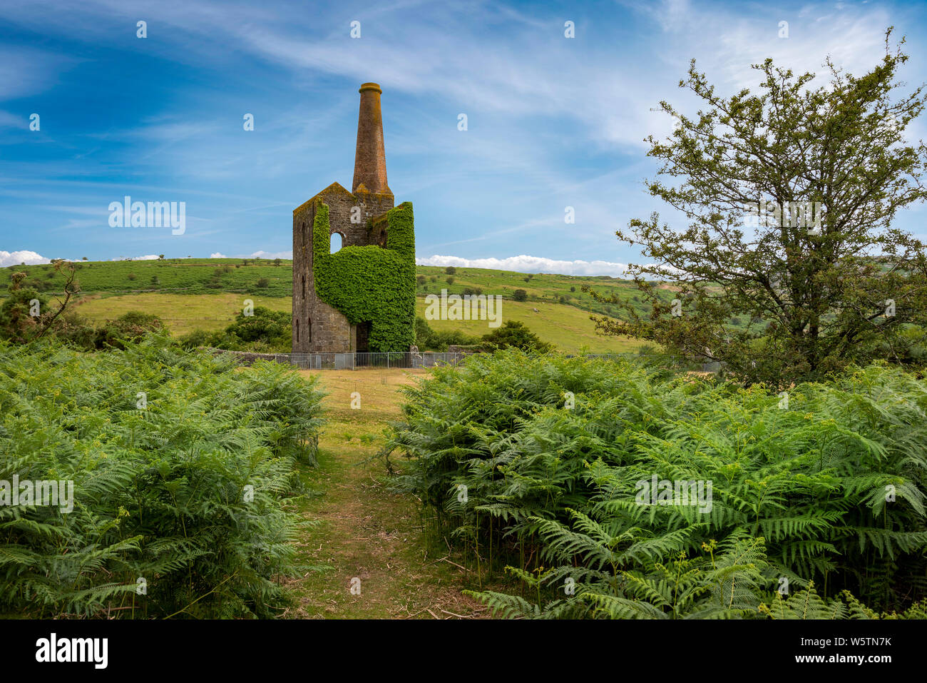 This is the delapidated remains of the Prince of wales engine pumping ...