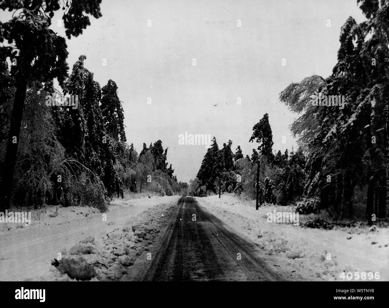 Photograph of Highway Number 46; Scope and content:  Original caption: View along Highway #46 through Avenue of Pines after sleet storm. Cut Foot Sioux. Stock Photo