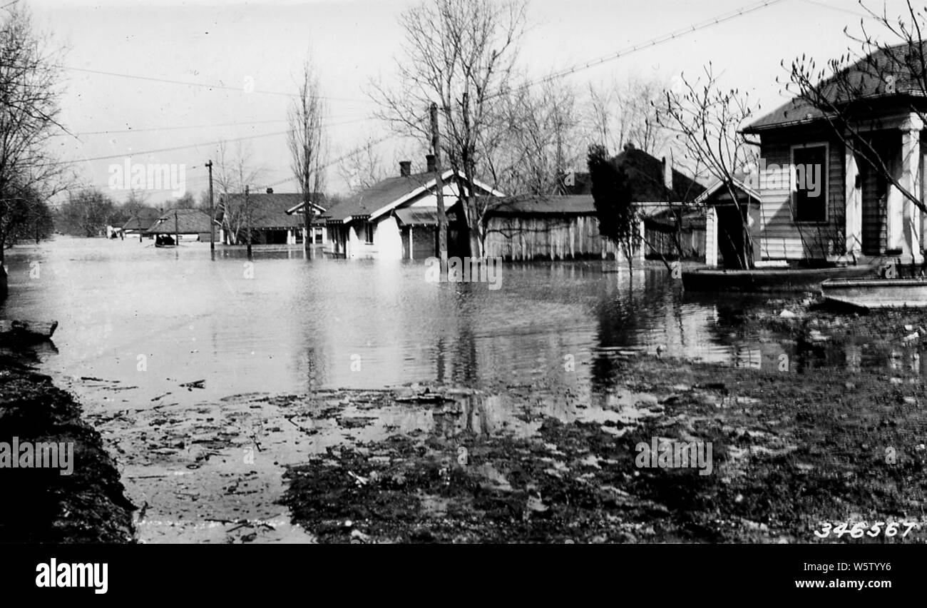 Photograph of Portion of ster Street in Harrisburg, Illinois, under