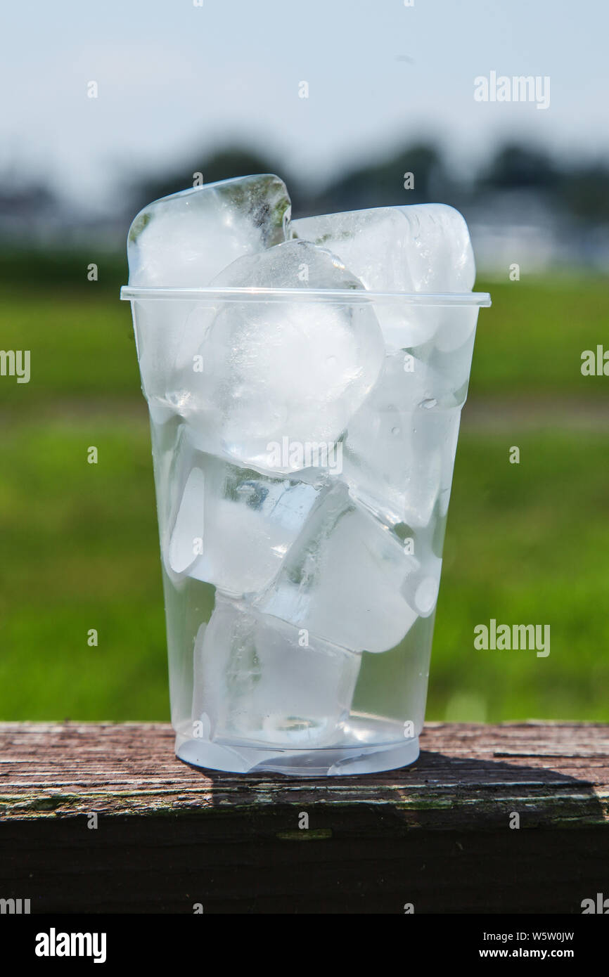 Cup full of ice melting outdoor Stock Photo Alamy