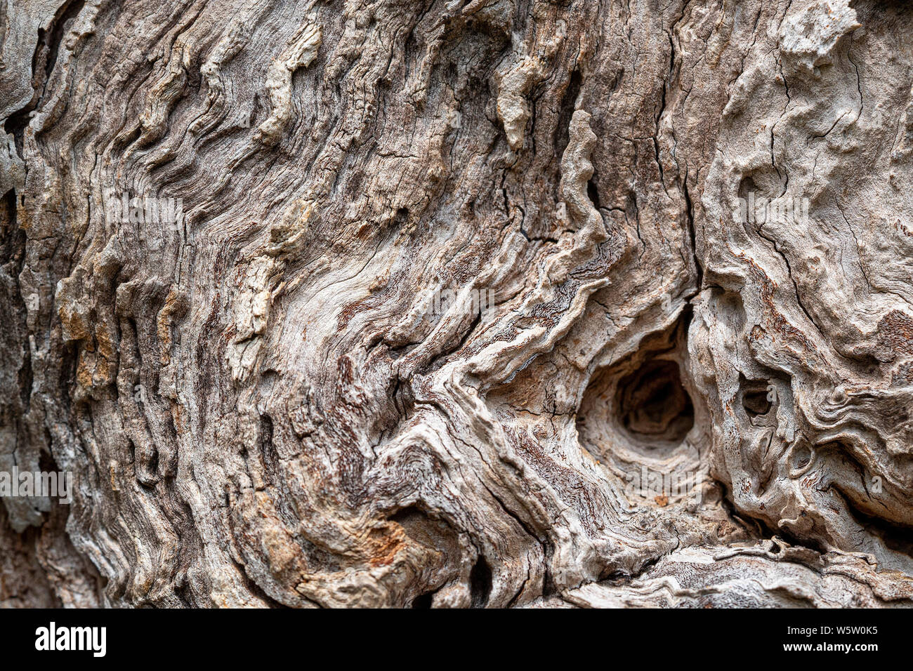 natural pine bark texture background Stock Photo - Alamy