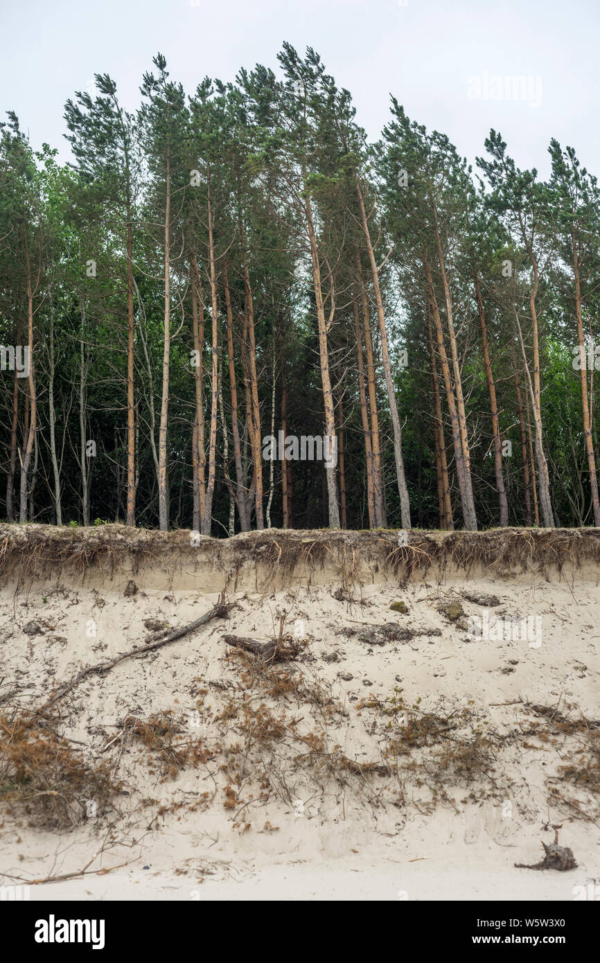 Natural erosion process hi-res stock photography and images - Alamy