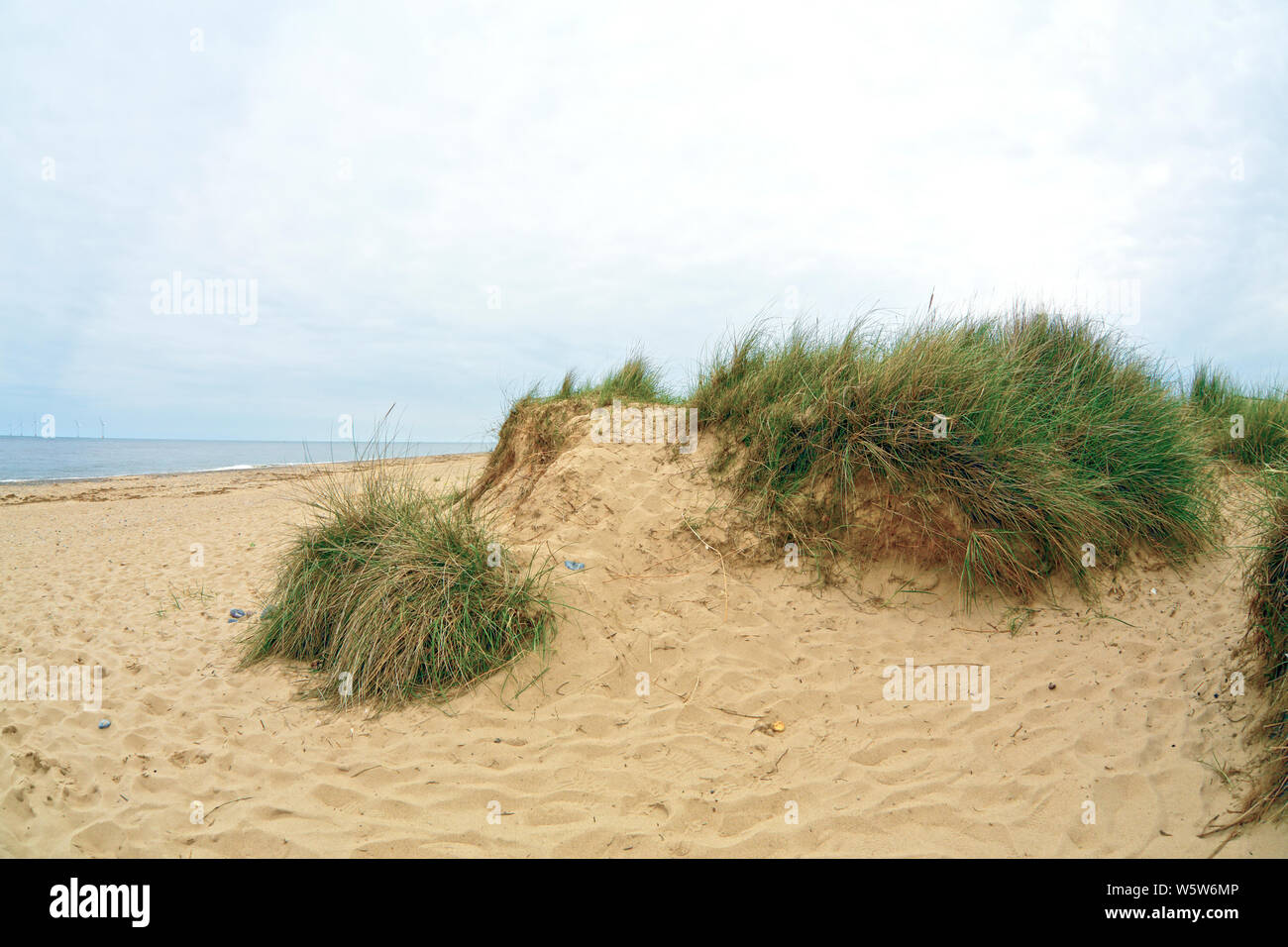 Sand dunes on a beach Stock Photo - Alamy