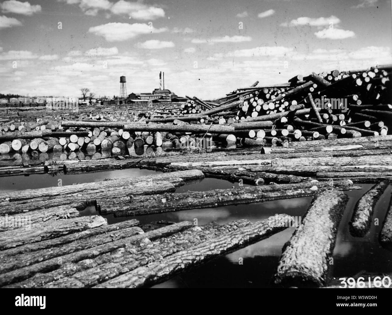 Roddis hi-res stock photography and images - Alamy