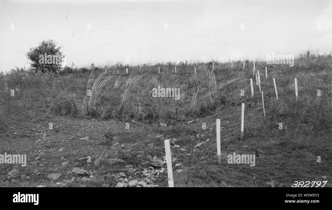 Photograph of Sod Dams; Scope and content Original caption