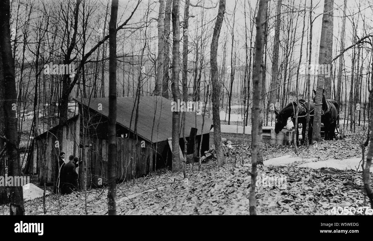Photograph of Sugar House Near Bear Lake, Michigan; Scope and content