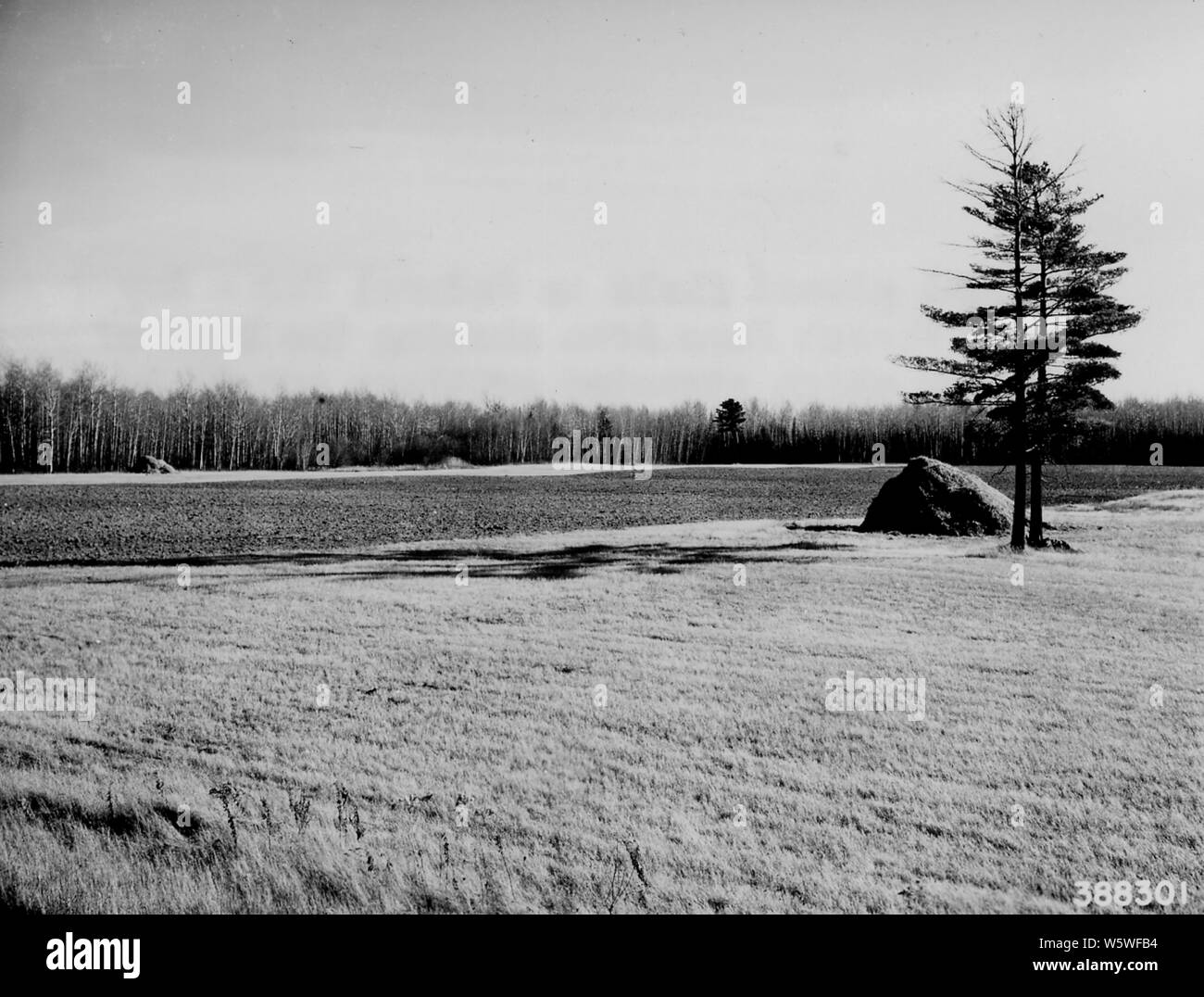 Federal dam Black and White Stock Photos & Images Alamy