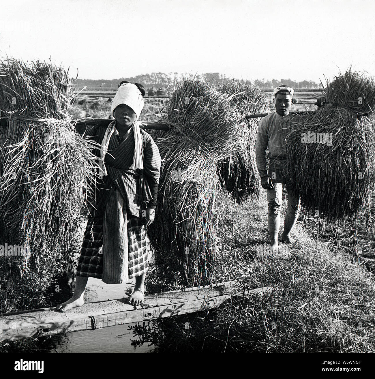 1900s-japan-japanese-farmers-harvesting-rice-a-farmer-and-his-wife-are-carrying-home-the-rice-harvest-20th-century-vintage-glass-slide-W5WNGF.jpg