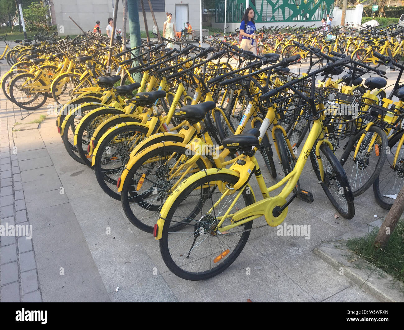 ofo bankruptcy