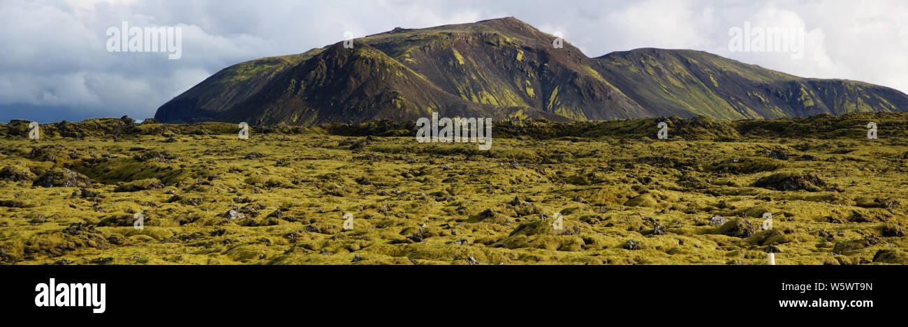 Typical landscape of the spectacular moss fields of Eldhraun moss covering lava rock) in the south of Iceland. Stock Photo