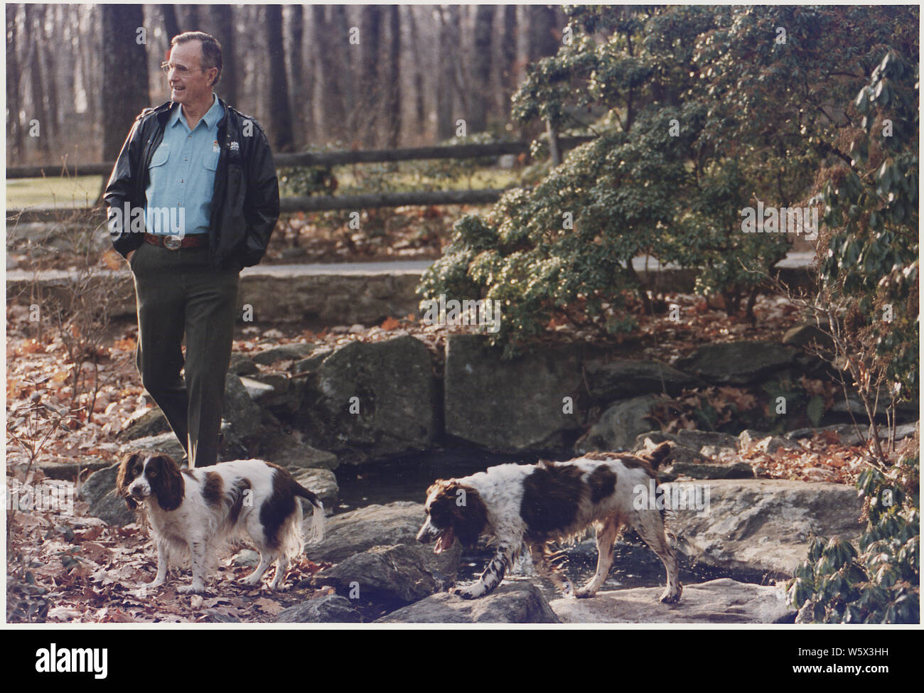 President Bush walks with his dogs, Millie and Ranger, at Camp David Stock  Photo - Alamy