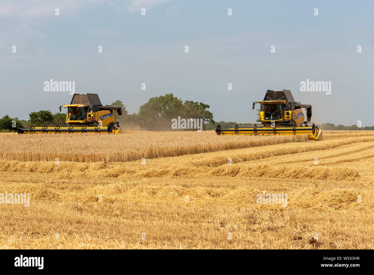 Cheltenham, Gloucestershire, England, UK. Two combine harvesters working to harvest a field of barley, which when dried be sent to a brewery Stock Photo