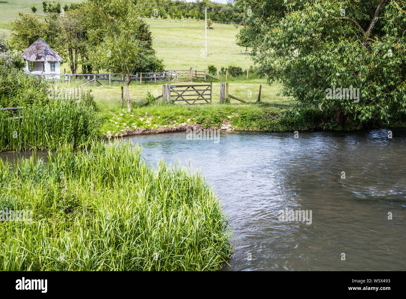 The River Windrush in summer in the Cotswolds. Stock Photo