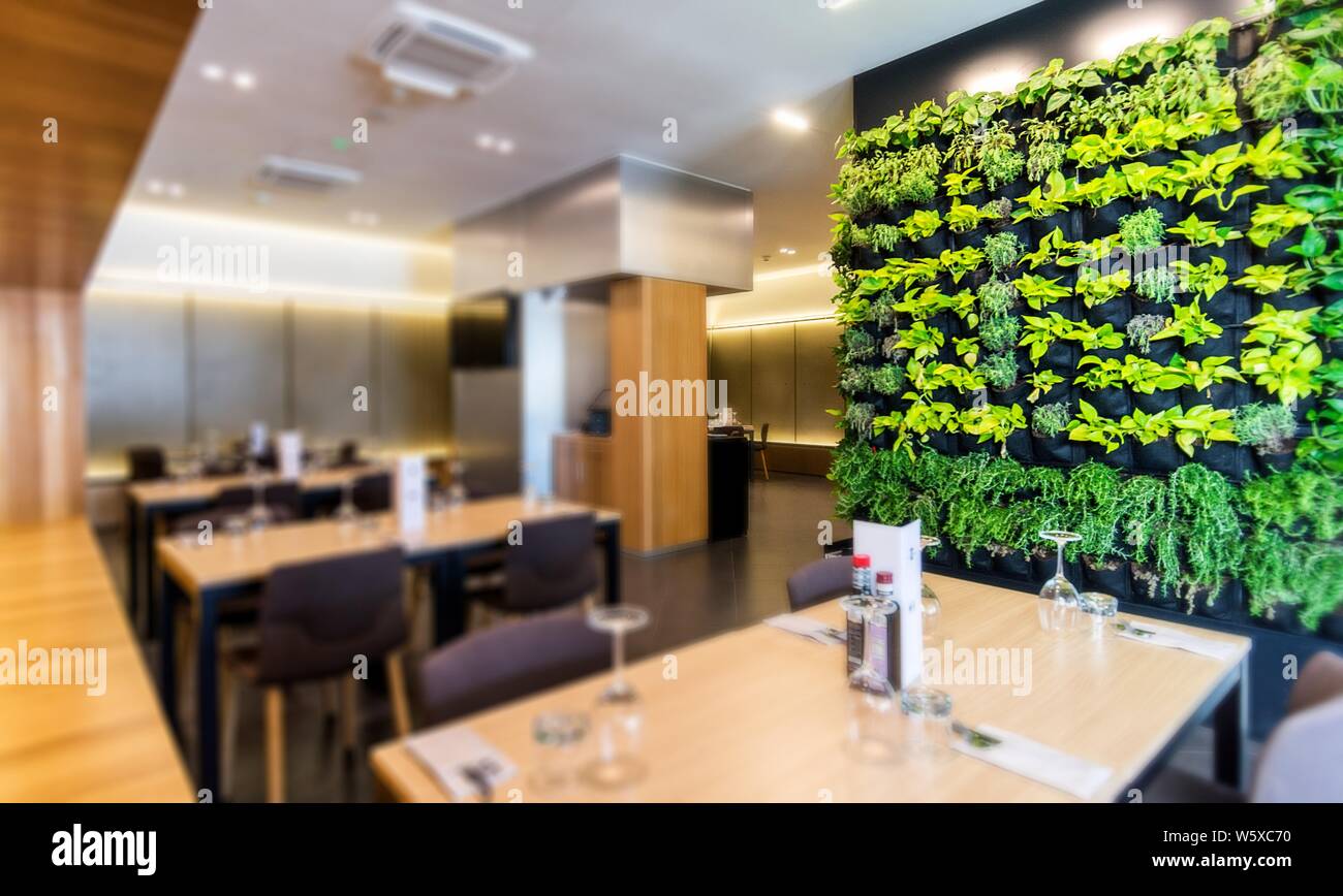 Interior design grass growing indoors hi-res stock photography and ...