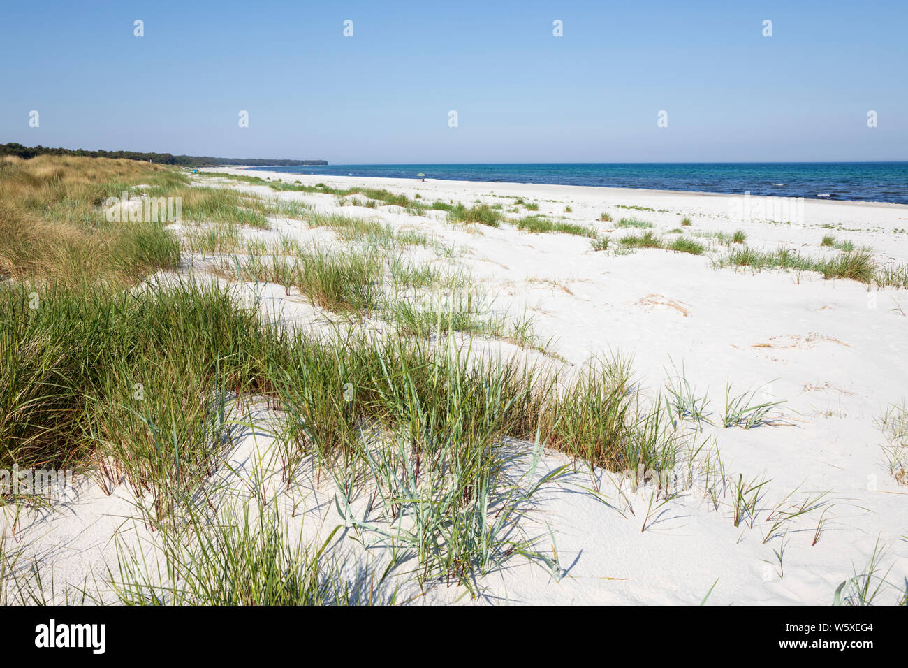 White sand beach of Dueodde on island's south coast, Dueodde, Bornholm Island, Baltic sea, Denmark, Europe Stock Photo
