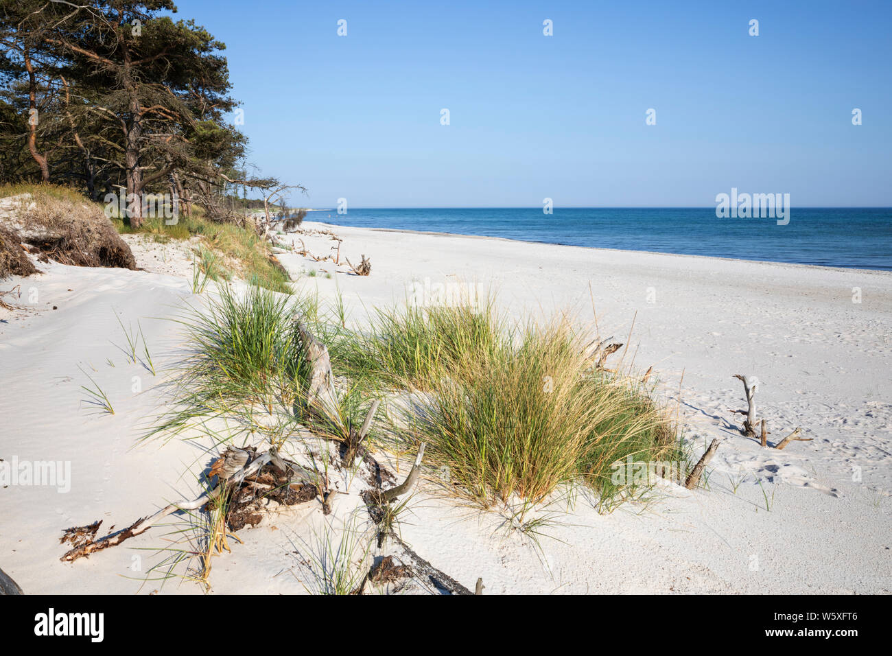 White sand beach of Dueodde on island's south coast, Dueodde, Bornholm Island, Baltic sea, Denmark, Europe Stock Photo