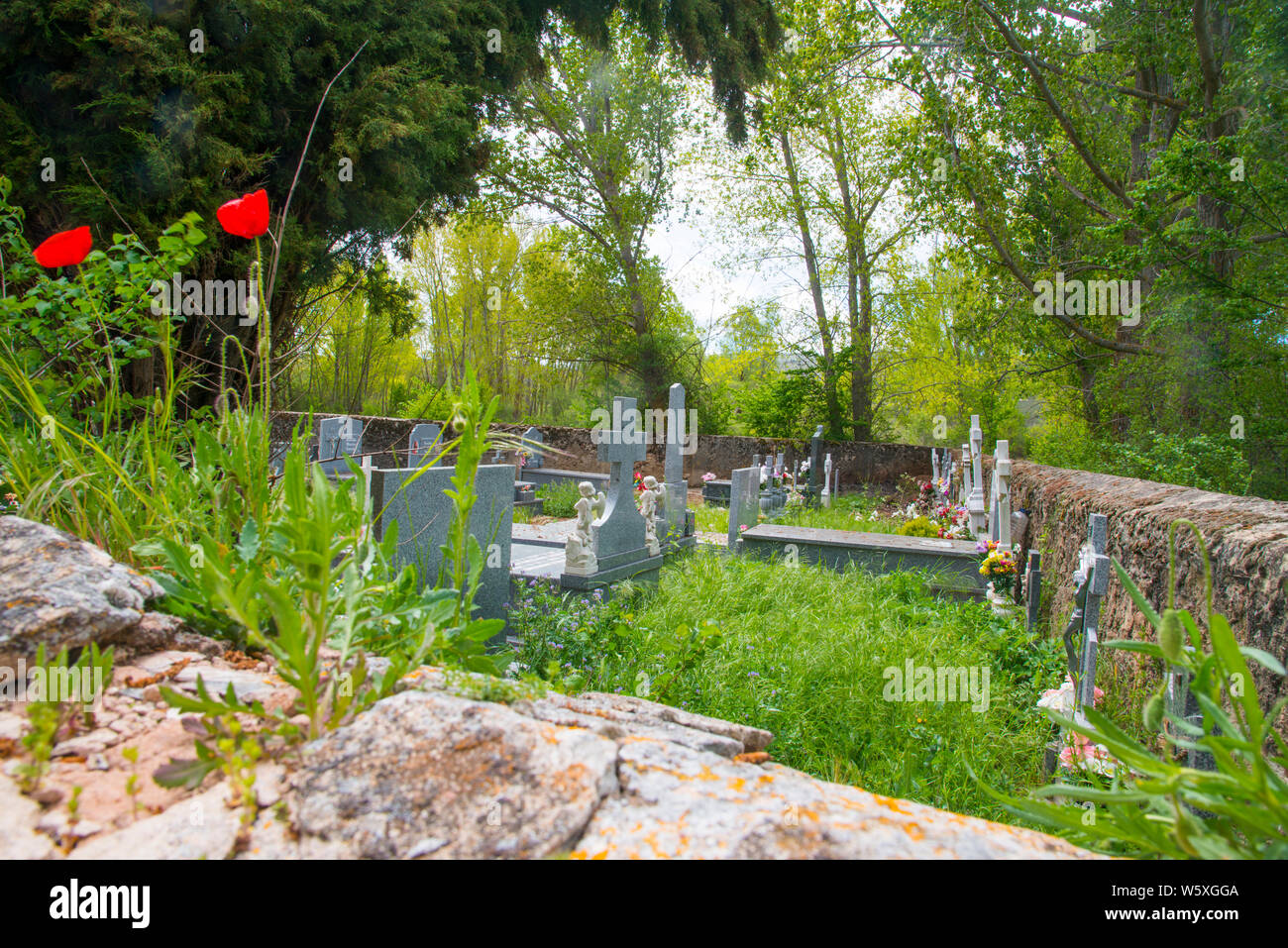 Graveyard. Albendiego, Guadalajara province, Castilla La Mancha, Spain. Stock Photo