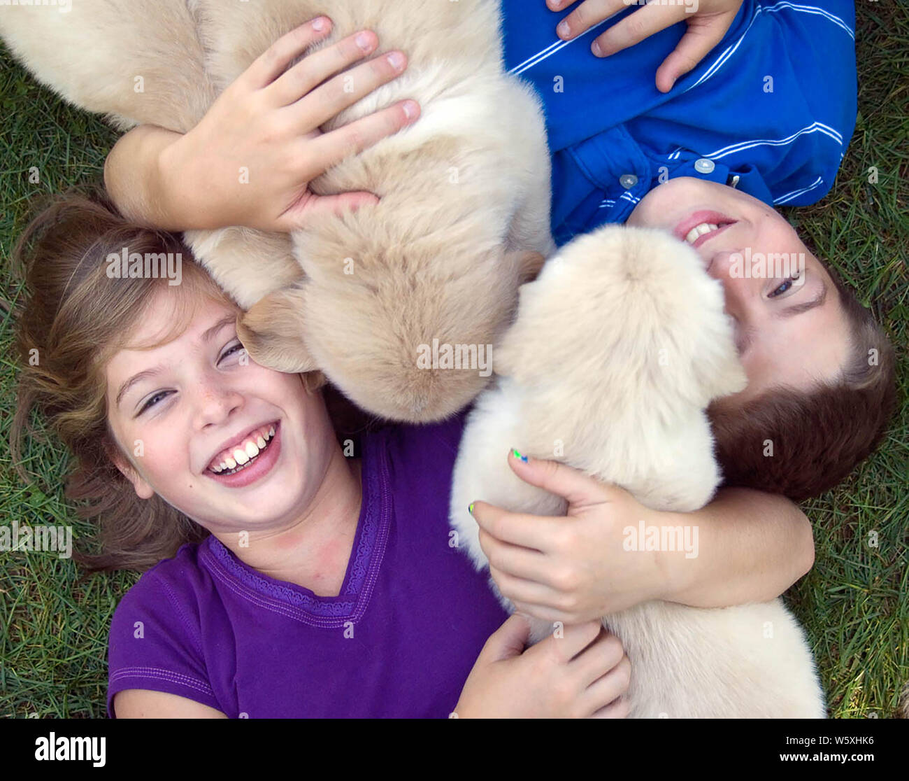 People with puppies Stock Photo