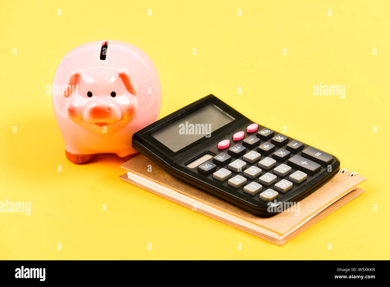 saving money. First salary. business start up. Working with numbers