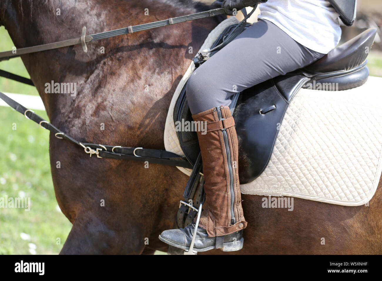 Beautiful handmade dressage horse riding saddle with girth, stirrup on