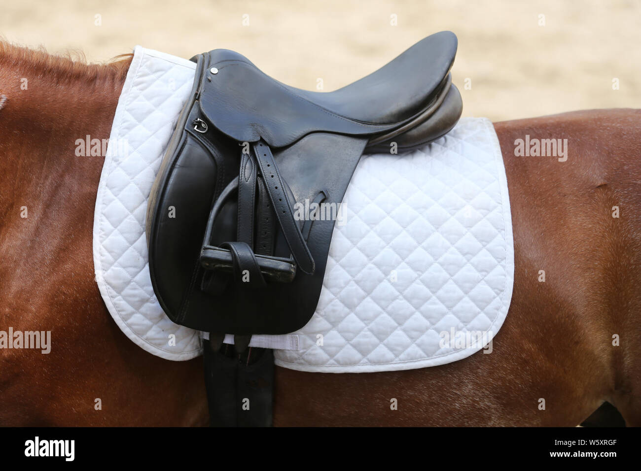 Beautiful handmade dressage horse riding saddle with girth, stirrup on