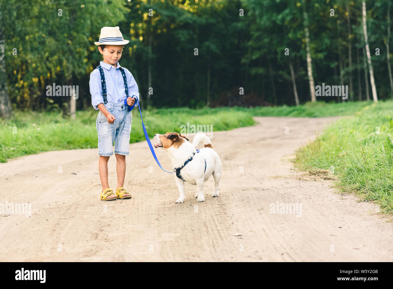 Kid boy learning how to tame and train a dog walk on leash Stock Photo