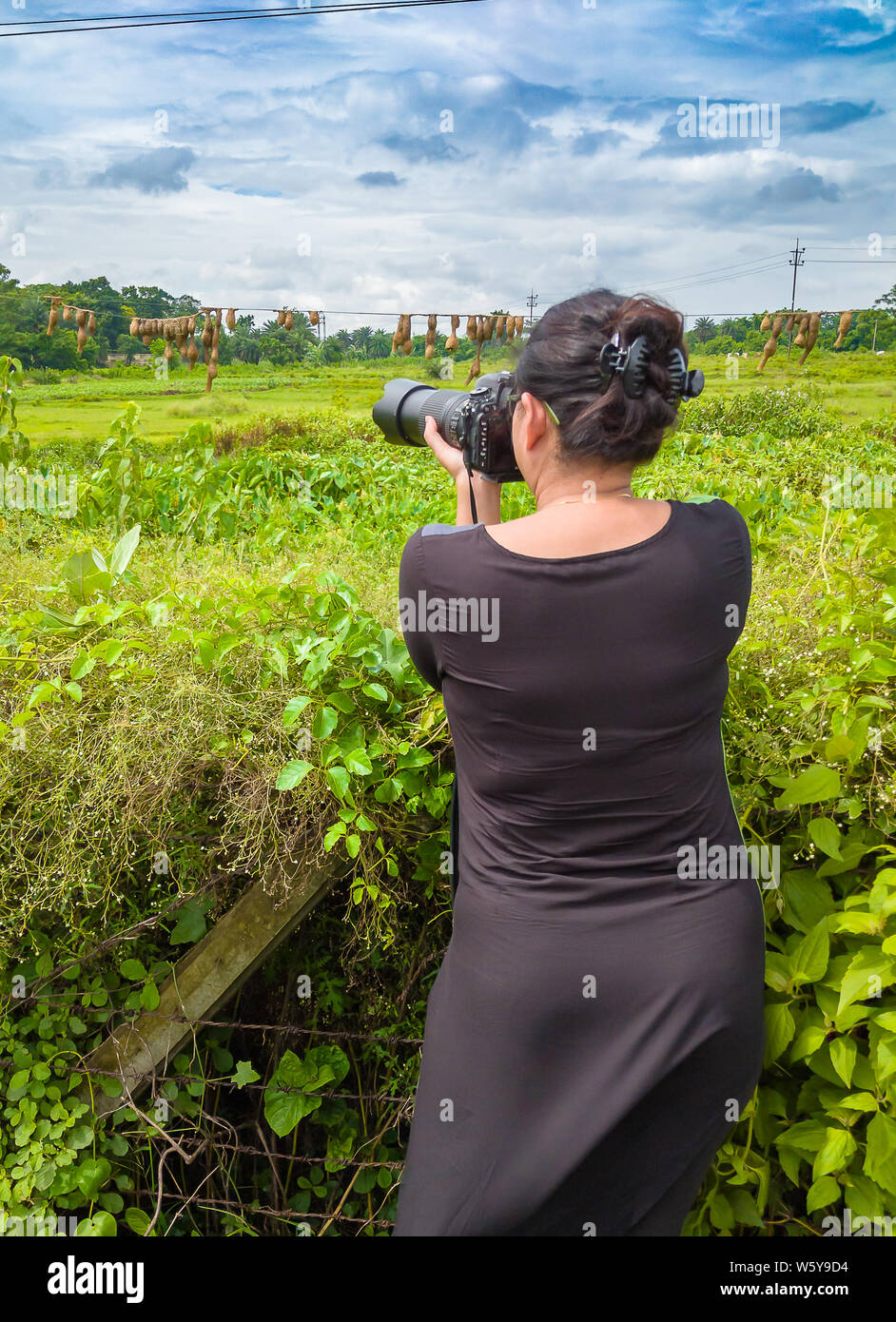 Lady wildlife photographer hi-res stock photography and images - Alamy