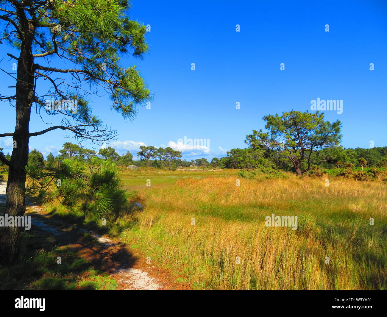 Grasslands on Illa de Arousa, Spain Stock Photo