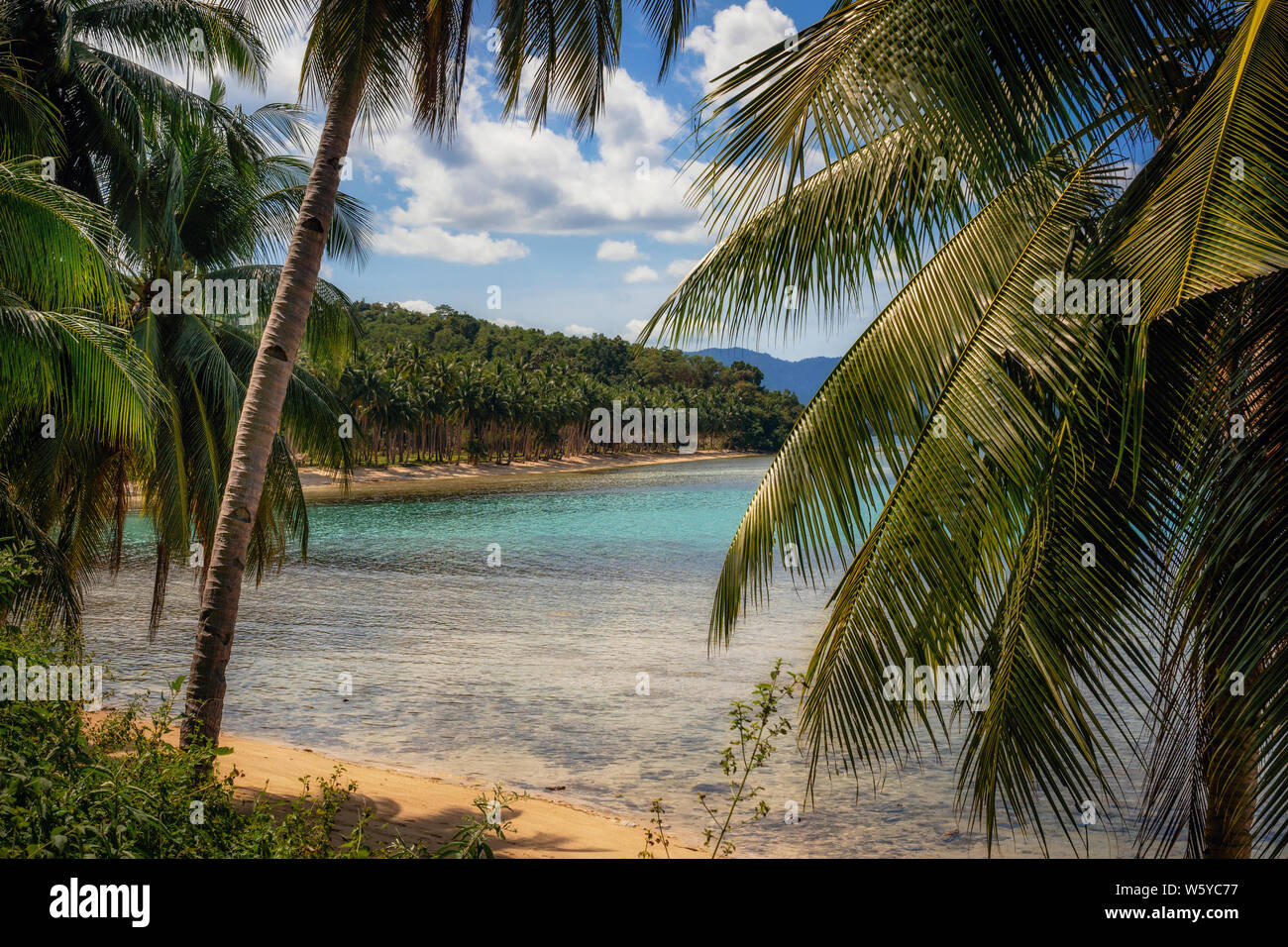 Coconut Beach through jungle with palm trees in Port Barton, Palawan, Philippines Stock Photo