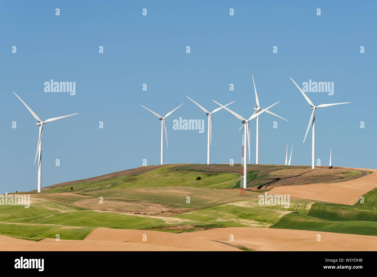 Wind Farm on top of of hill covered with agricultural crops. Stock Photo