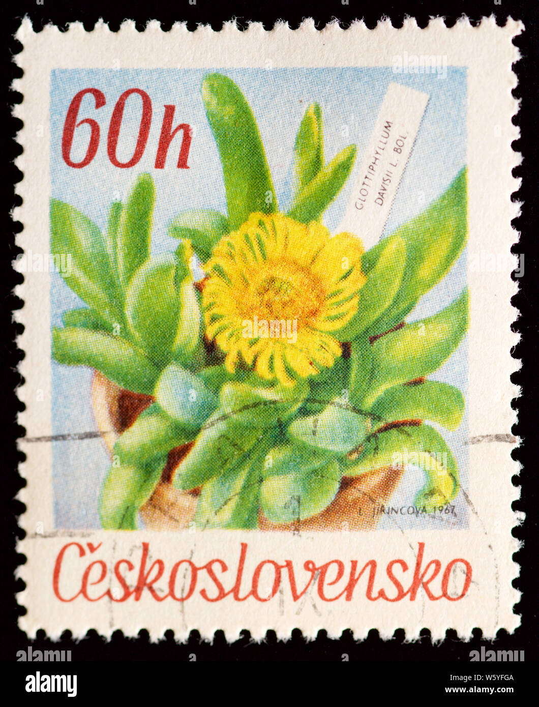 Czechoslovakia Postage Stamp - Flowers Stock Photo
