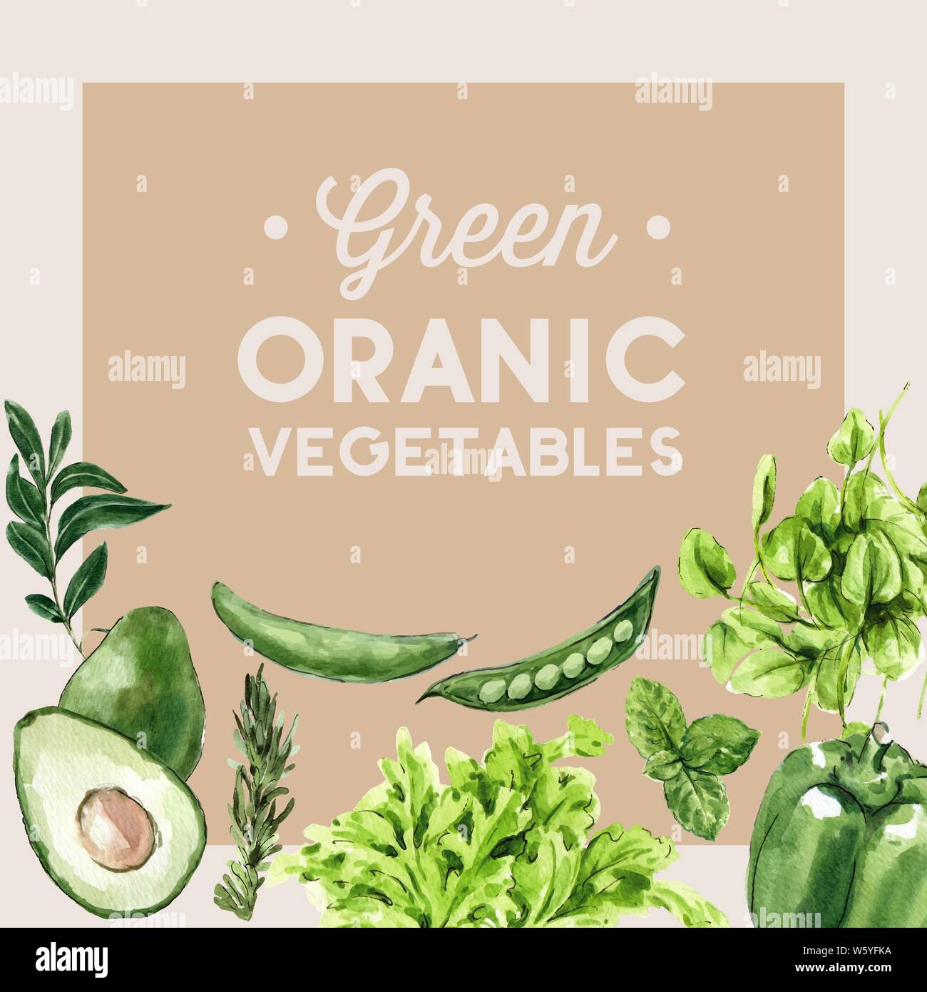 vegetable watercolor paint collection. Fresh food organic decor healthy