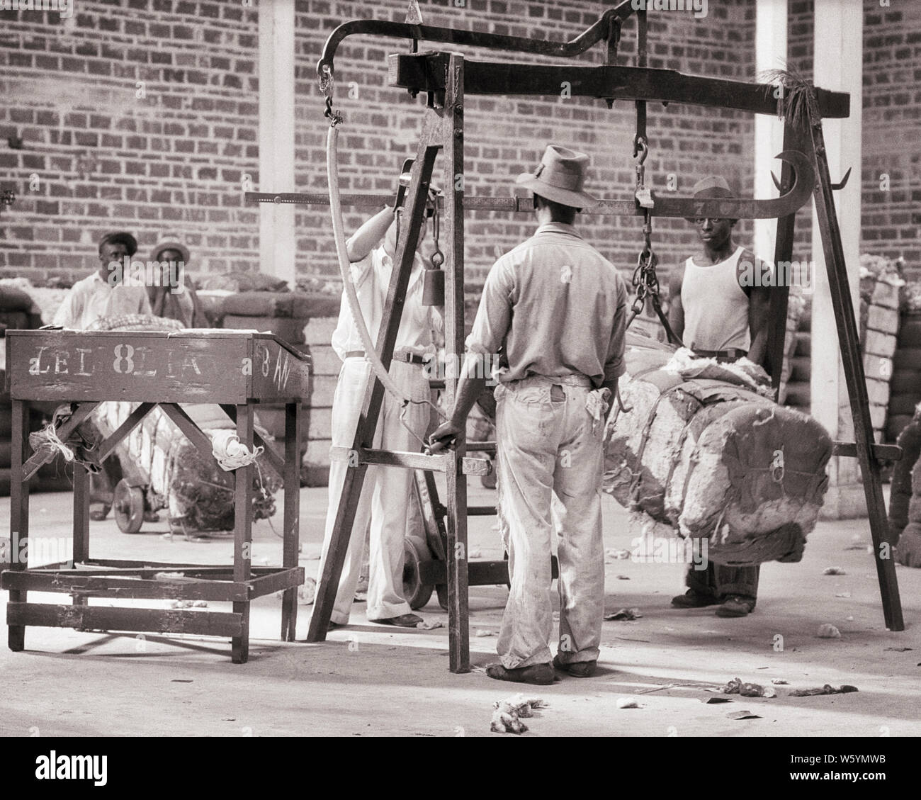 1930s THREE MEN STANDING AT INDUSTRIAL SCALE WEIGHING BALES OF PICKED COTTON NEW ORLEANS LOUISIANA USA - c6273 HAR001 HARS MALES PROFESSION EXECUTIVES WEIGHING AGRICULTURE B&W WIDE ANGLE SKILL OCCUPATION SKILLS STRENGTH AFRICAN-AMERICANS AFRICAN-AMERICAN CAREERS BLACK ETHNICITY LABOR LOUISIANA AT OF SUPERVISOR AUTHORITY OCCUPATIONS PICKED BOSSES CONCEPTUAL MANAGERS MID-ADULT MID-ADULT MAN BALES BLACK AND WHITE CAUCASIAN ETHNICITY HAR001 LA NEW ORLEANS OLD FASHIONED AFRICAN AMERICANS Stock Photo