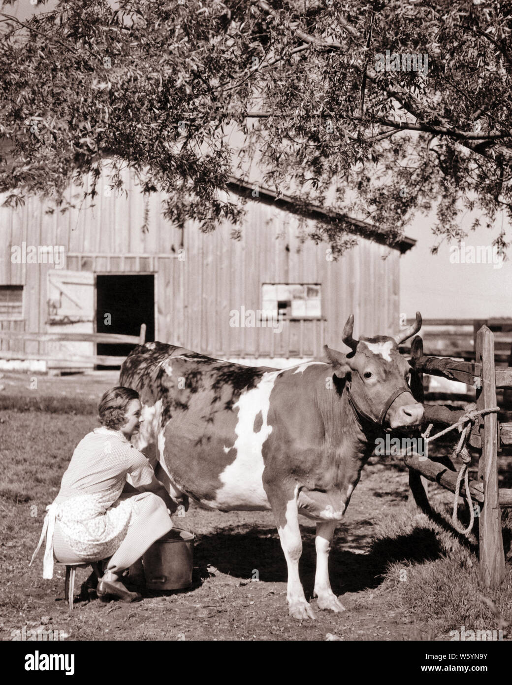 Milking stool hires stock photography and images Alamy