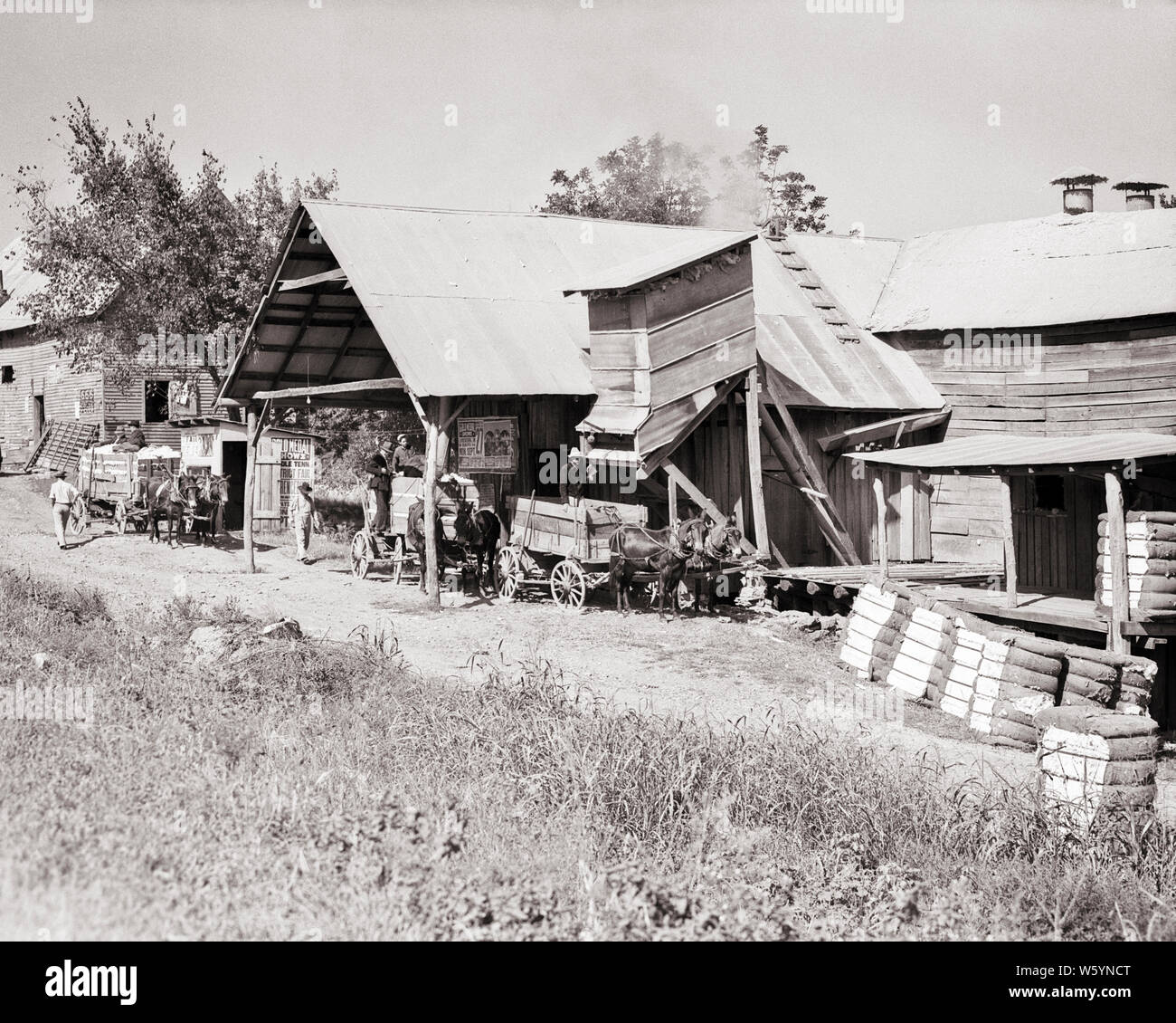 1930s MULE DRAWN WAGONS DELIVERING PICKED COTTON TO RURAL COTTON GIN FOR CLEANING AND BALING NEAR LAWRENCE TENNESSEE USA - c8088 HAR001 HARS OLD FASHIONED Stock Photo