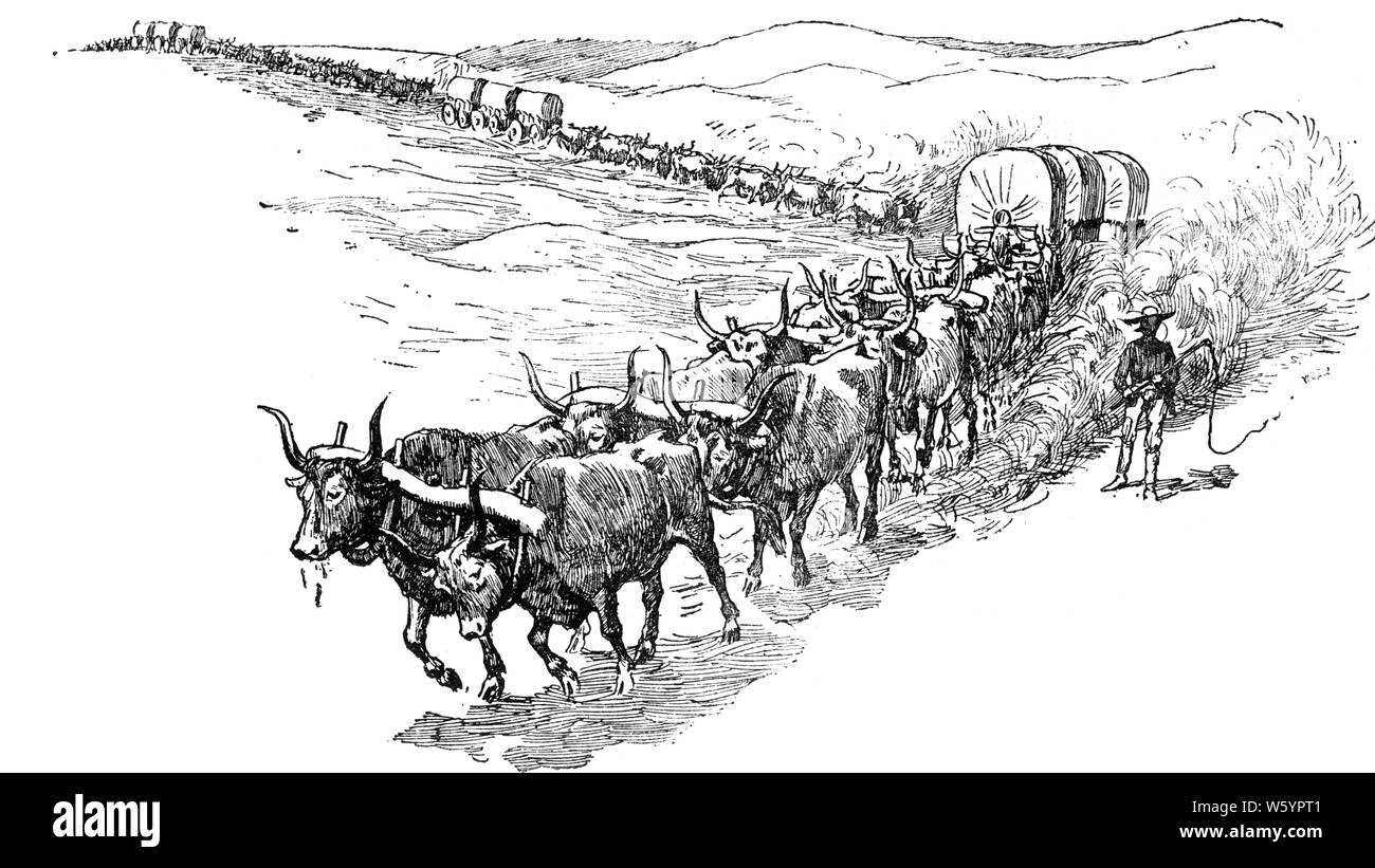 1880s BULL WAGON TRAIN TEAMSTER LEADS OXEN TEAMS PULLING THREE WAGONS EACH FILLED WITH GOODS SUPPLIES AMERICAN WESTERN FRONTIER - h9818 HAR001 HARS RISK WESTERN PAIRS CONFIDENCE TRANSPORTATION 1800s B&W FREIGHT HORNS SUCCESS WIDE ANGLE CATTLE SUPPLIES HIGH ANGLE ADVENTURE GOODS STRENGTH YOKE COURAGE FRONTIER HAULING POWERFUL PROGRESS DIRECTION PRIDE IN AUTHORITY OCCUPATIONS OXEN WAGON TRAIN CONCEPTUAL 1880s DRAFT LEAD STYLISH WAGONS TEAMSTER TEAMSTERS FILLED LEADS MAMMAL OX TEAMS YOKES BLACK AND WHITE DOMESTICATED HAR001 LIVESTOCK OLD FASHIONED Stock Photo